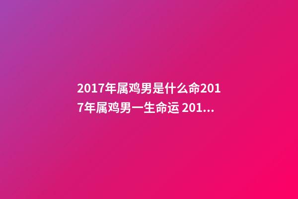 2017年属鸡男是什么命2017年属鸡男一生命运 2017年属鸡男一生命运，属鸡一生的命运-第1张-观点-玄机派